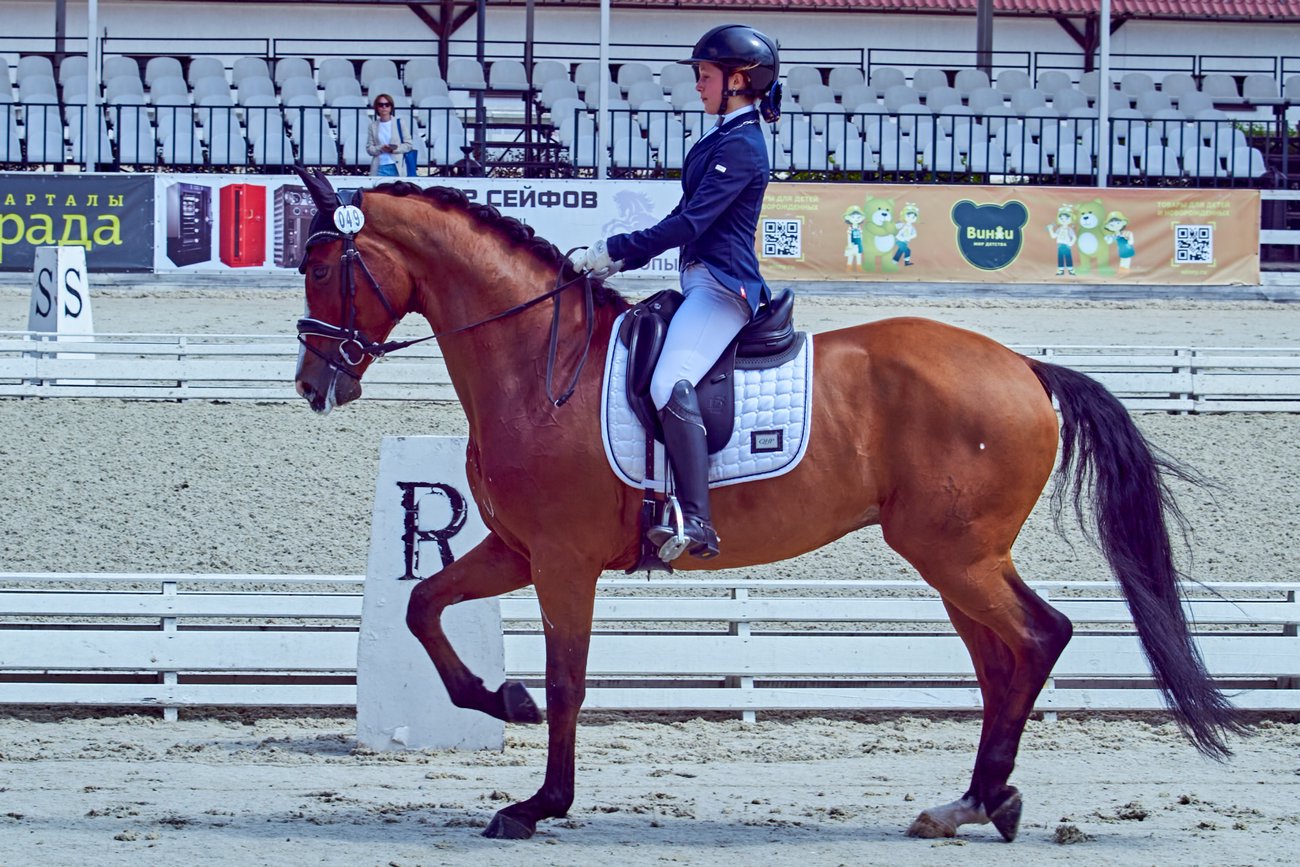 Конный спорт. Первенство России (выездка) 2023