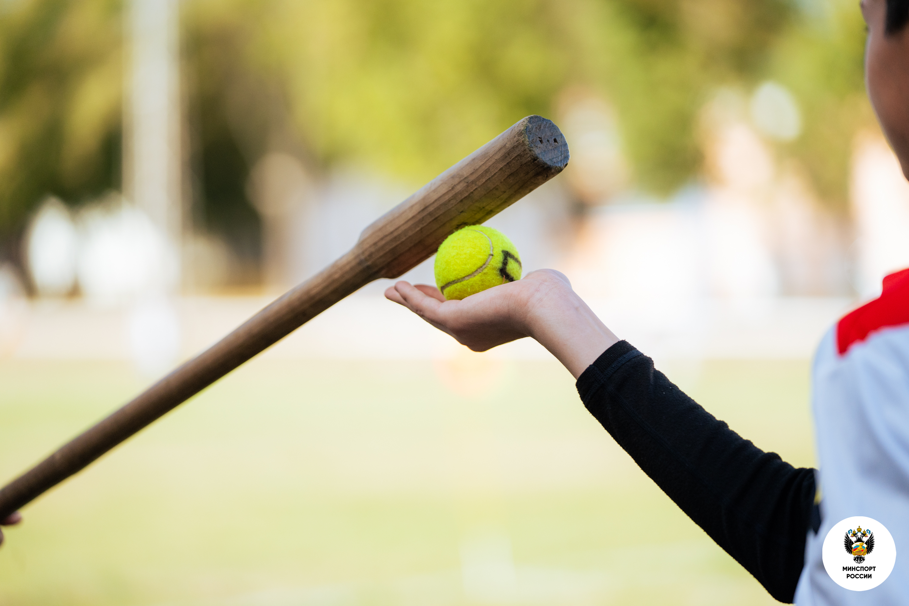 Лапта. Всероссийские соревнования «Спортивное будущее Родины» на призы Министра спорта России Михаила Дегтярева