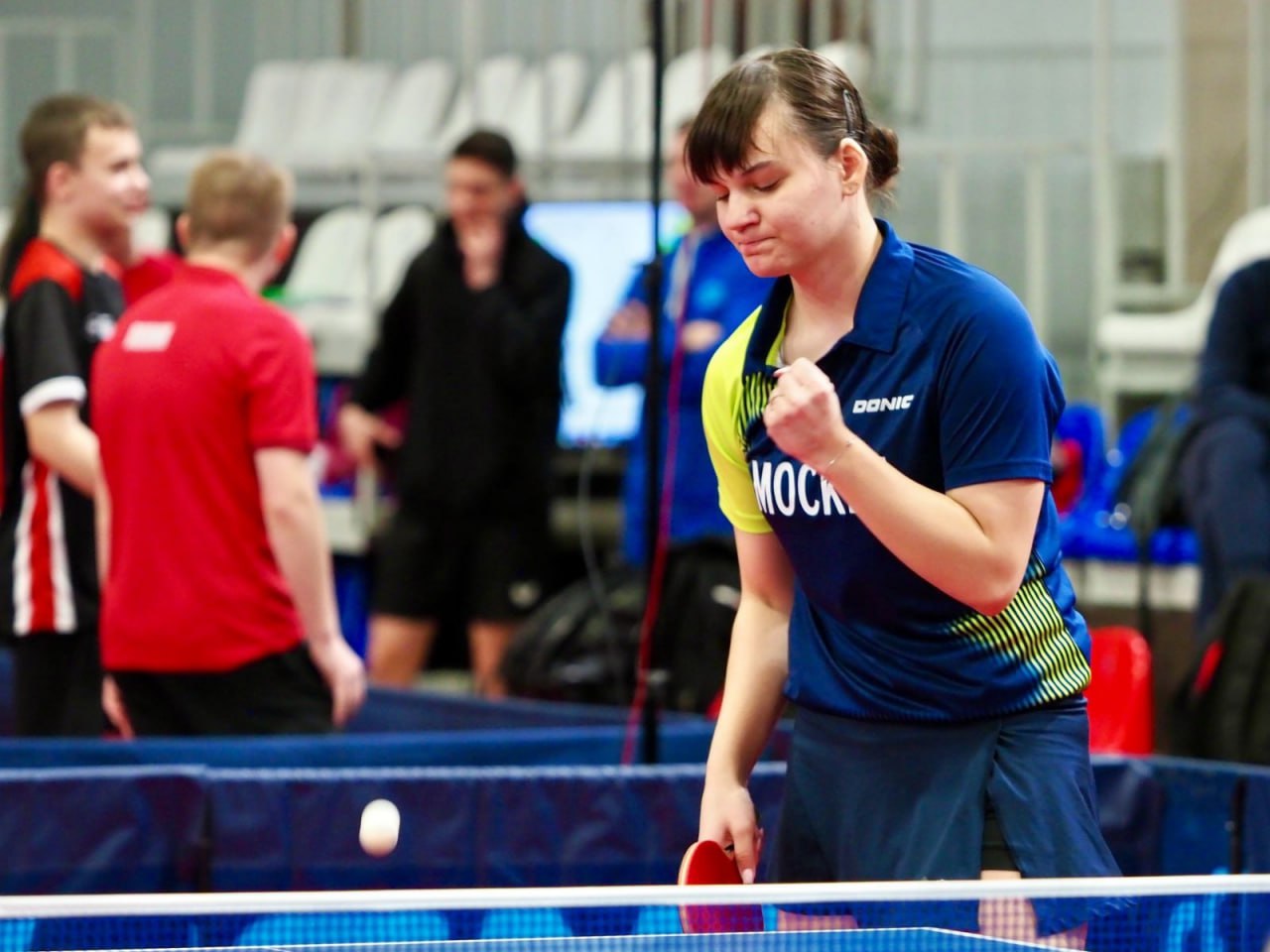 Настольный теннис