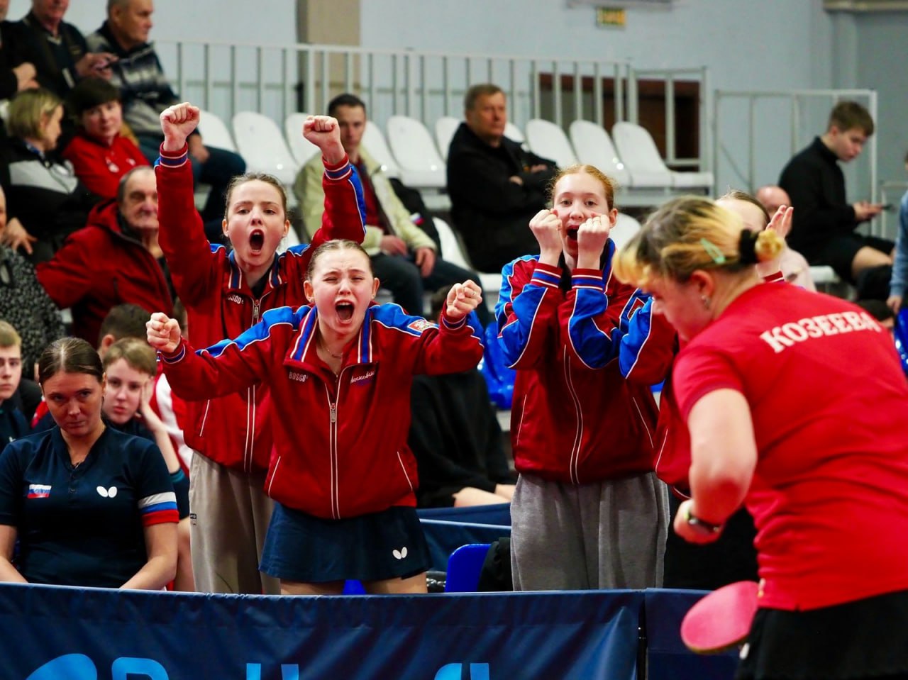 Настольный теннис