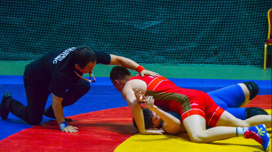 Адаптивный - борьба ГР и вольная - глухие Орел - фото4