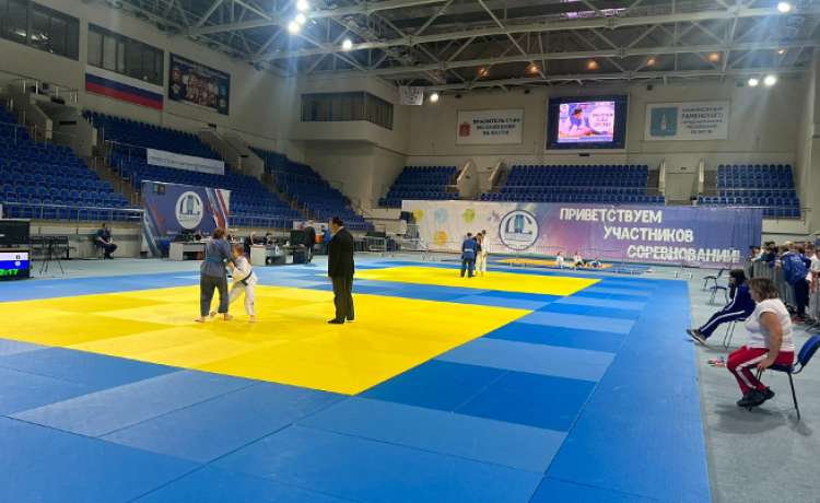 Адаптивный - дзюдо слепые Раменское - фото4