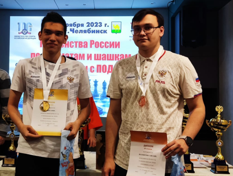 Адаптивный - шахматы и шашки ПОДА Челябинск - фото10