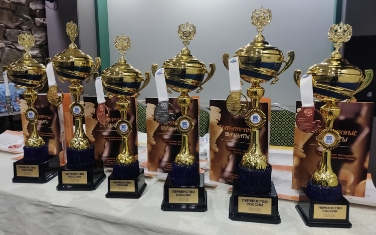 Адаптивный - шахматы и шашки ПОДА Челябинск - фото14