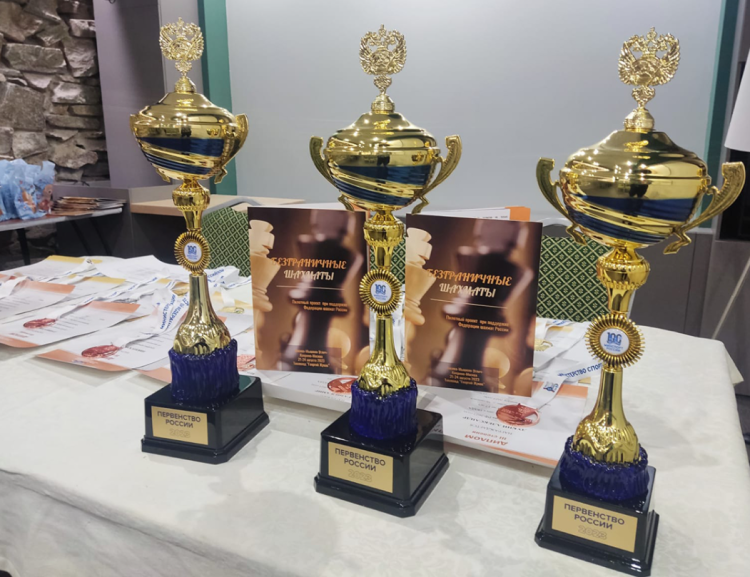 Адаптивный - шахматы и шашки ПОДА Челябинск - фото15