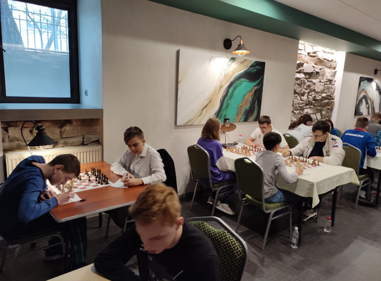 Адаптивный - шахматы и шашки ПОДА Челябинск - фото5