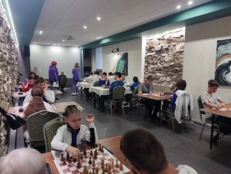 Адаптивный - шахматы и шашки ПОДА Челябинск - фото7