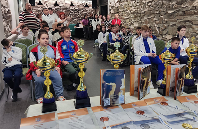 Адаптивный - шахматы и шашки ПОДА Челябинск - фото9