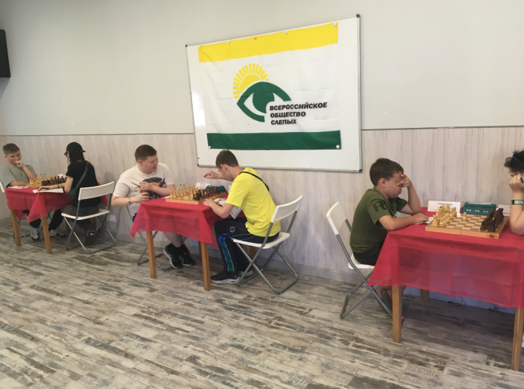 Адаптивный - шахматы слепые Кострома - фото1