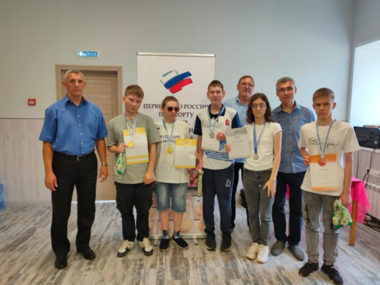 Адаптивный - шахматы слепые Кострома - фото7