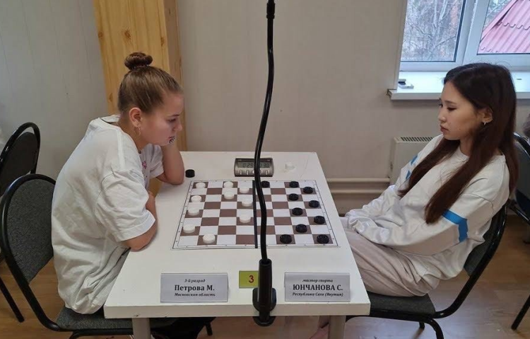 Адаптивный - шашки глухие Зеленоград 2023 - фото3