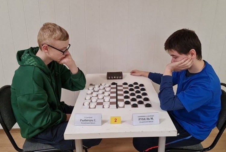 Адаптивный - шашки глухие Зеленоград 2023 - фото4