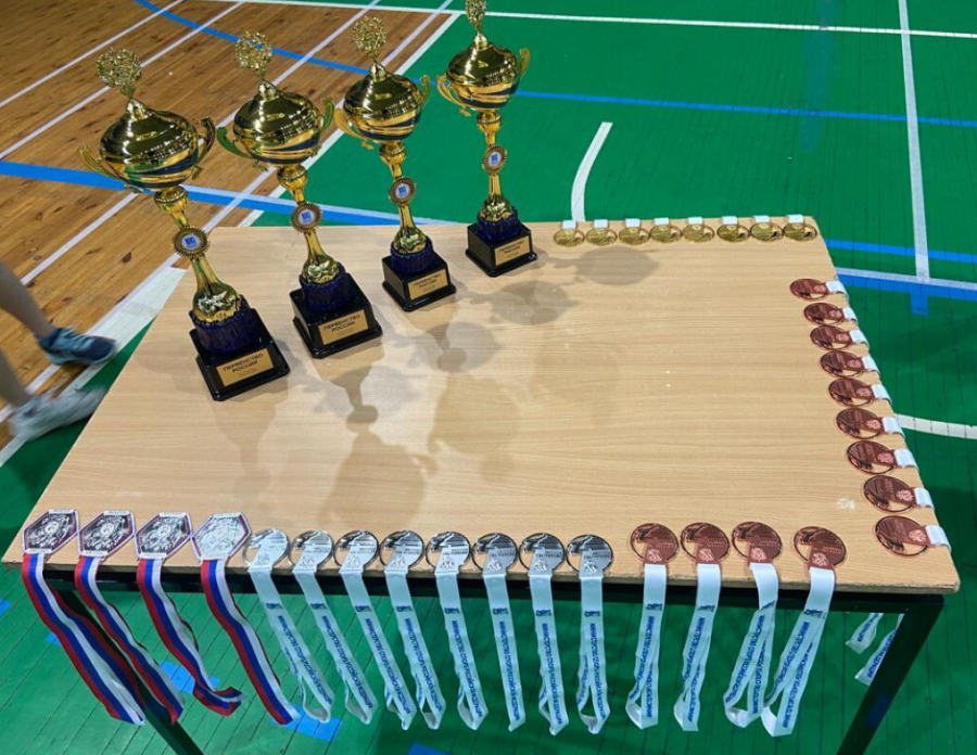 Бадминтон - Омск до 13 лет - фото7