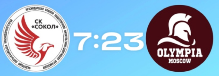 Бейсбол - Химки Планерная юниоры до 19 лет - результаты игр - день4 матч1