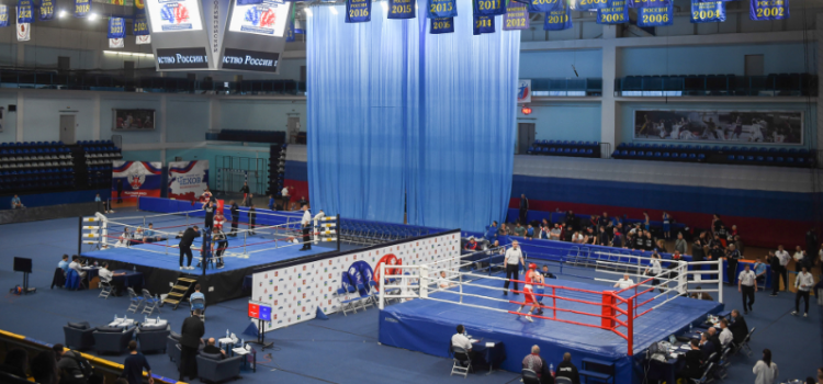 Бокс - Чехов юноши 15-16 лет - фото1