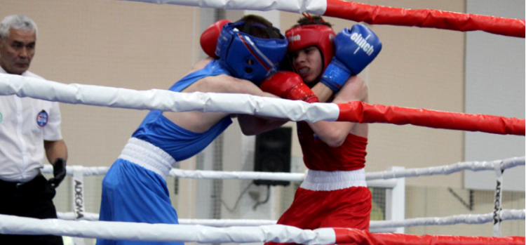 Бокс - Чехов юноши девушки 13-14 лет - фото5