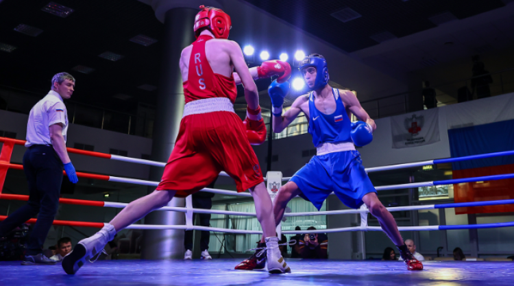 Бокс - Химки на призы Лебзяка - фото1