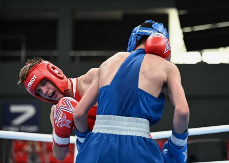 Бокс - Краснодар 2024 юниоры 19-22 года - анонс-фото1