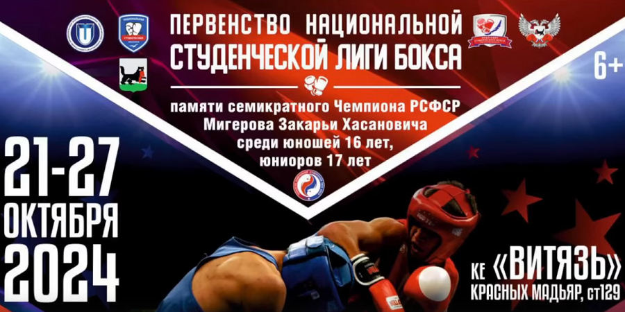 Бокс - НСЛБ - Иркутск 2024 памяти Мигерова - баннер