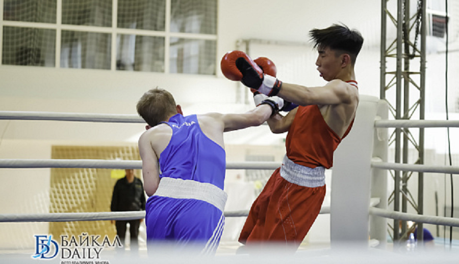 Бокс - НСЛБ - Иркутск 2024 памяти Мигерова - фото1
