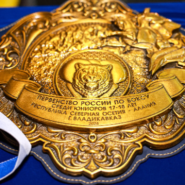 Бокс - Владикавказ 17-18 лет юниорки 19-22 года - фото17