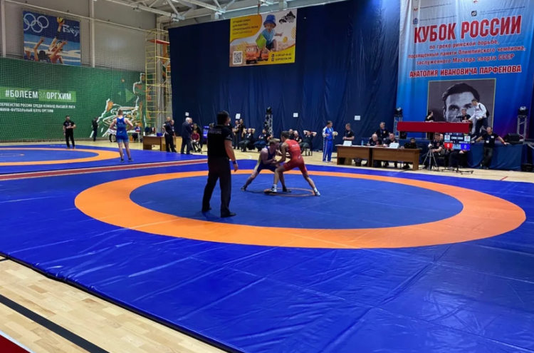 Борьба греко-римская - Бор юношеский Кубок России - фото1