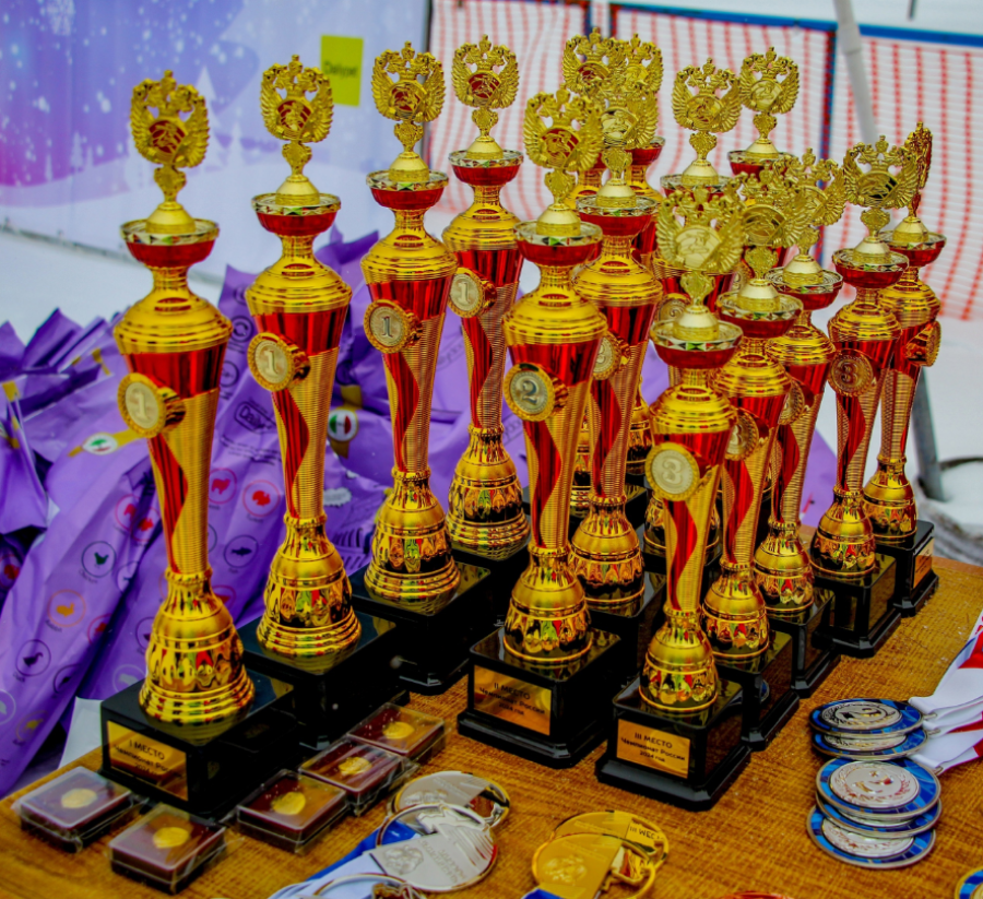 Ездовой спорт - Карпово 2024 - нарта-спринт 2 собаки - фото1