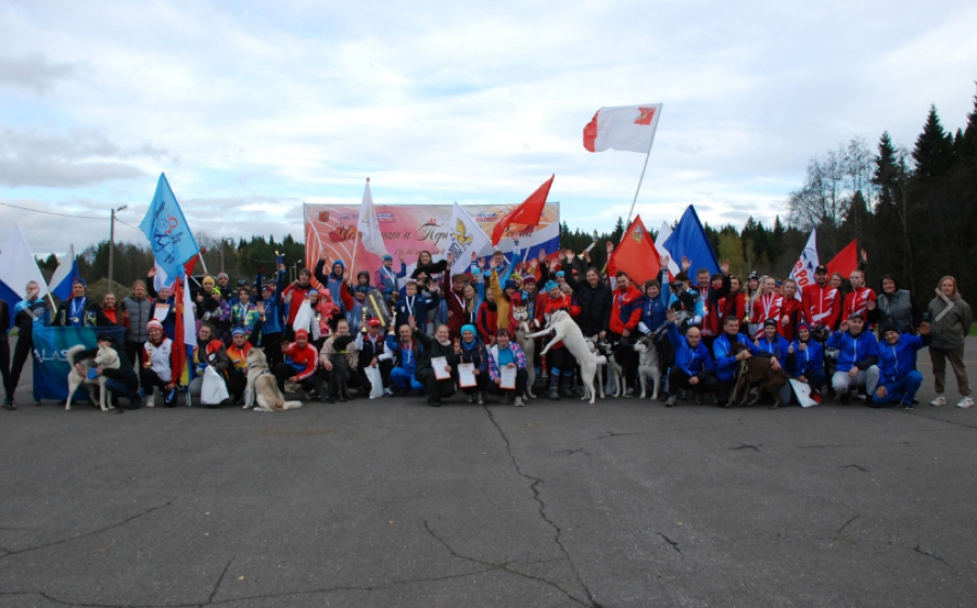 Ездовой спорт - кросс 1 собака - Карпово 2023 - фото1