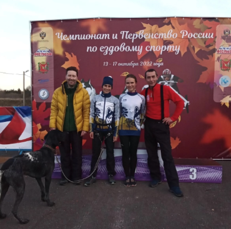 Ездовой спорт - Кросс 1 собака Карпово - фото1