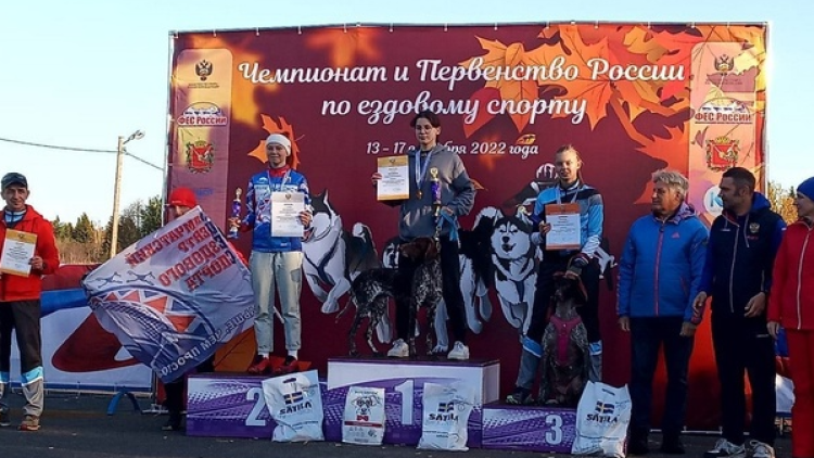 Ездовой спорт - Кросс 1 собака Карпово - фото2