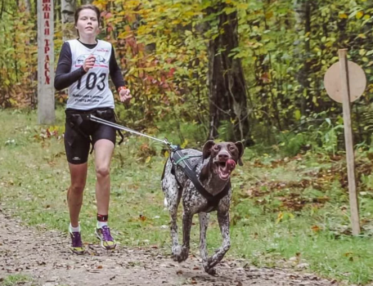 Ездовой спорт - Кросс 1 собака Карпово - фото3