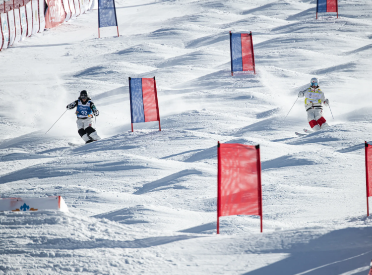 Фристайл - Чусовой могул парный могул и ски-кросс - фото3