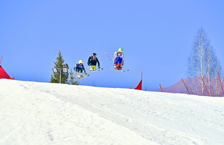 Фристайл - Пермский край Огонек - ски-кросс - фото1