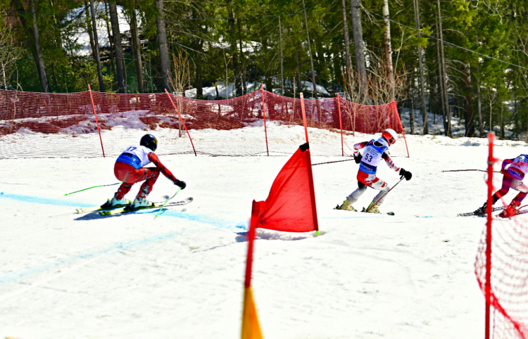 Фристайл - Пермский край Огонек - ски-кросс - фото2