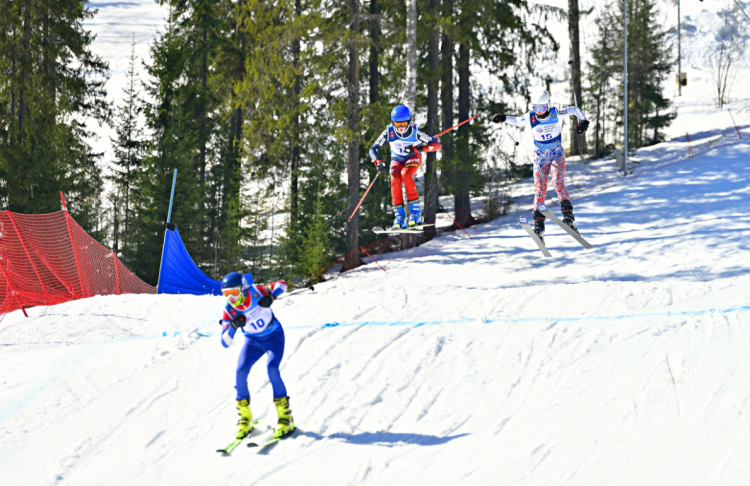 Фристайл - Пермский край Огонек - ски-кросс - фото6