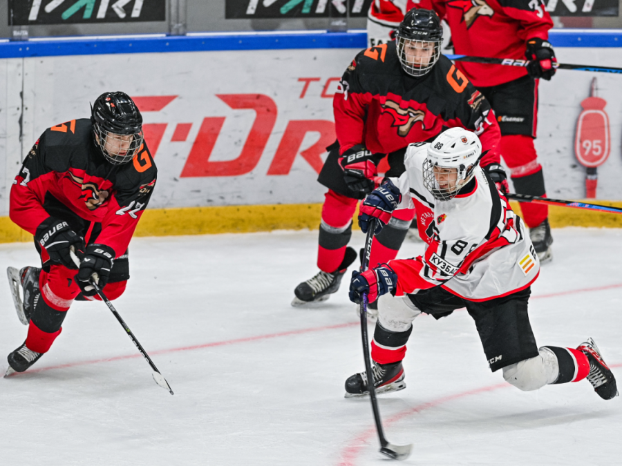 Хоккей - Омск ЮХЛ до 18 лет - фото29