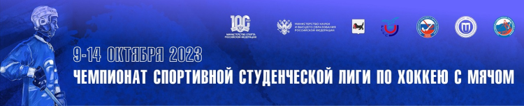 Хоккей с мячом - Иркутск чемпионат СЛХМ 2023 - баннер