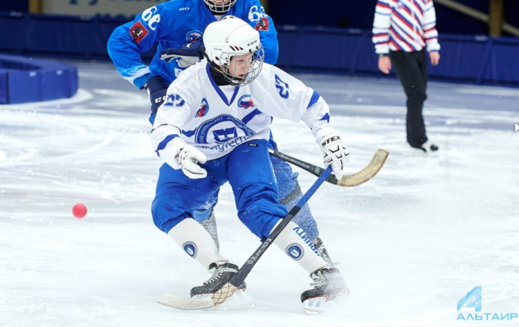 Хоккей с мячом - Иркутск чемпионат СЛХМ 2023 - фото16