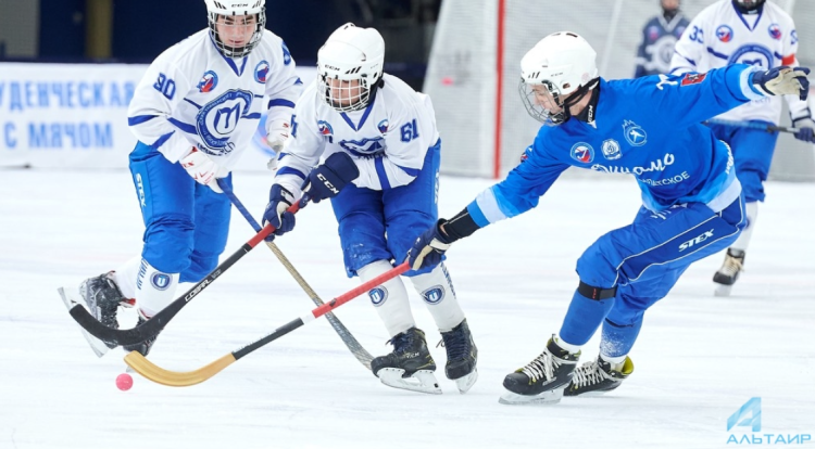 Хоккей с мячом - Иркутск чемпионат СЛХМ 2023 - фото17