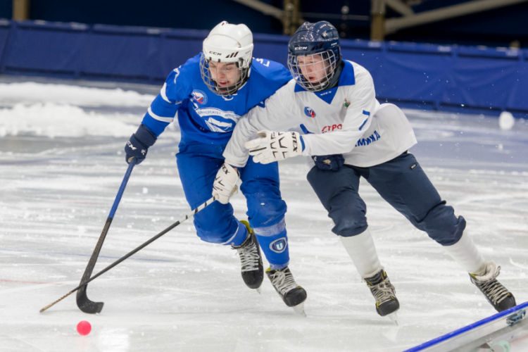 Хоккей с мячом - Иркутск первенство ССЛХМ - фото2