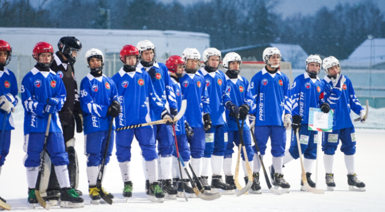 Хоккей с мячом - Казань 2006-2007 предварительный - фото1