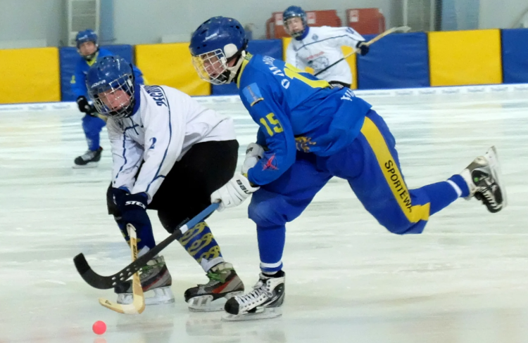 Хоккей с мячом - Казань 2006-2007 предварительный - фото2