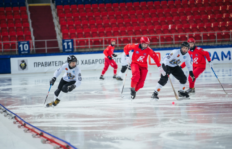 Хоккей с мячом - Хабаровск юниоры 2005-2006 гр - анонс-фото1