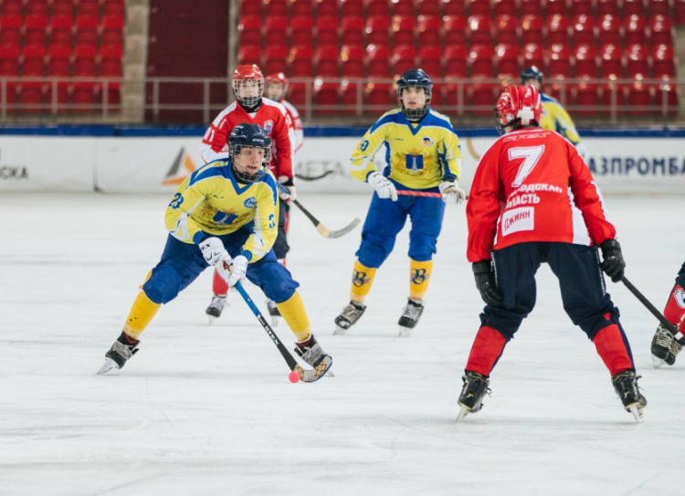 Хоккей с мячом - Хабаровск юниоры 2005-2006 гр - фото4