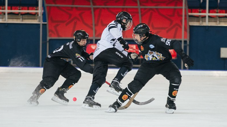 Хоккей с мячом - Хабаровск юниоры 2005-2006 гр - фото7