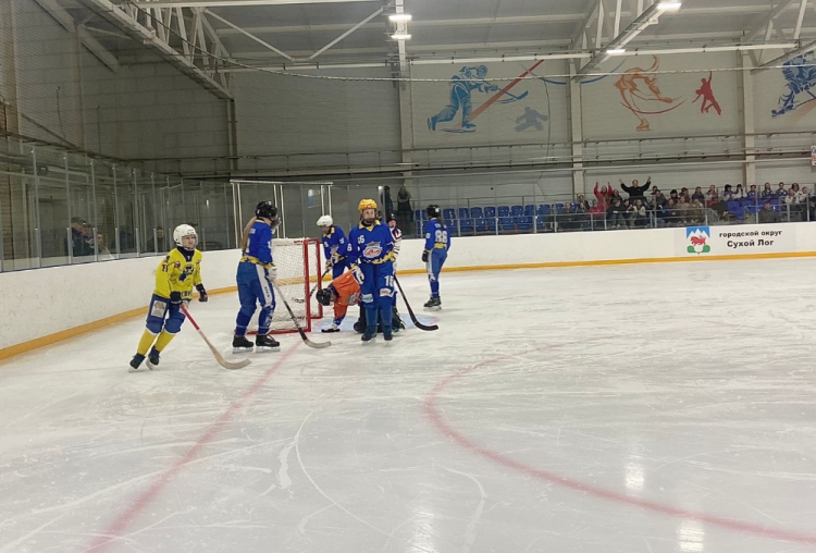 Хоккей с мячом (мини) - Сухой Лог - девушки 14-15 лет - фото6