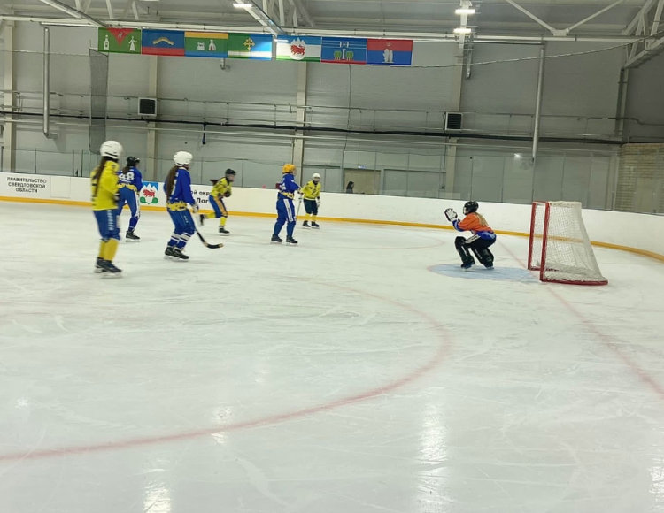 Хоккей с мячом (мини) - Сухой Лог - девушки 14-15 лет - фото7