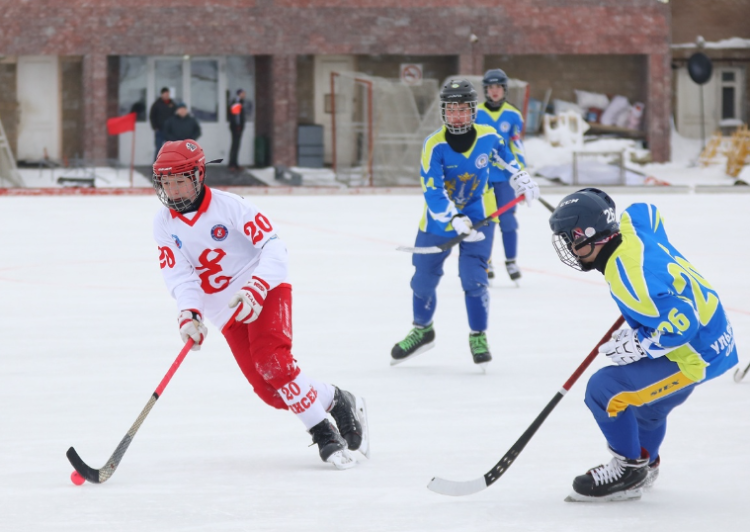 Хоккей с мячом - НН 2024 юноши 2009-2010 гр - фото2