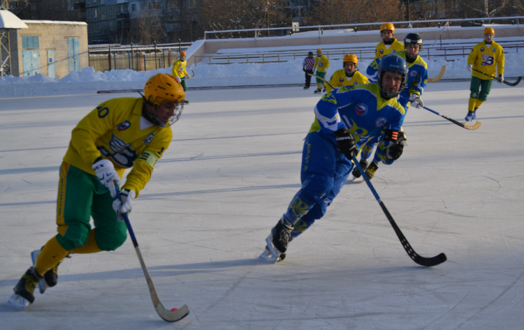 Хоккей с мячом - НН юноши 2009-2010 гр - анонс-фото2