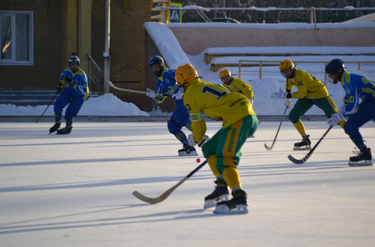 Хоккей с мячом - НН юноши 2009-2010 гр - анонс-фото3